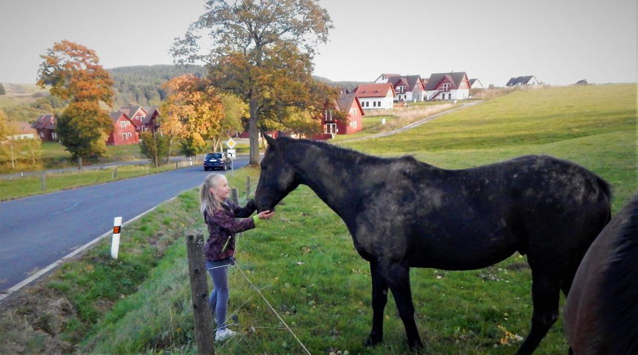 Chata Roubenka - Jesenka Dolní Moravice Eksteriør billede